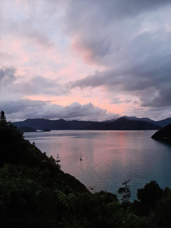 A Sea View B&B Picton Exterior photo