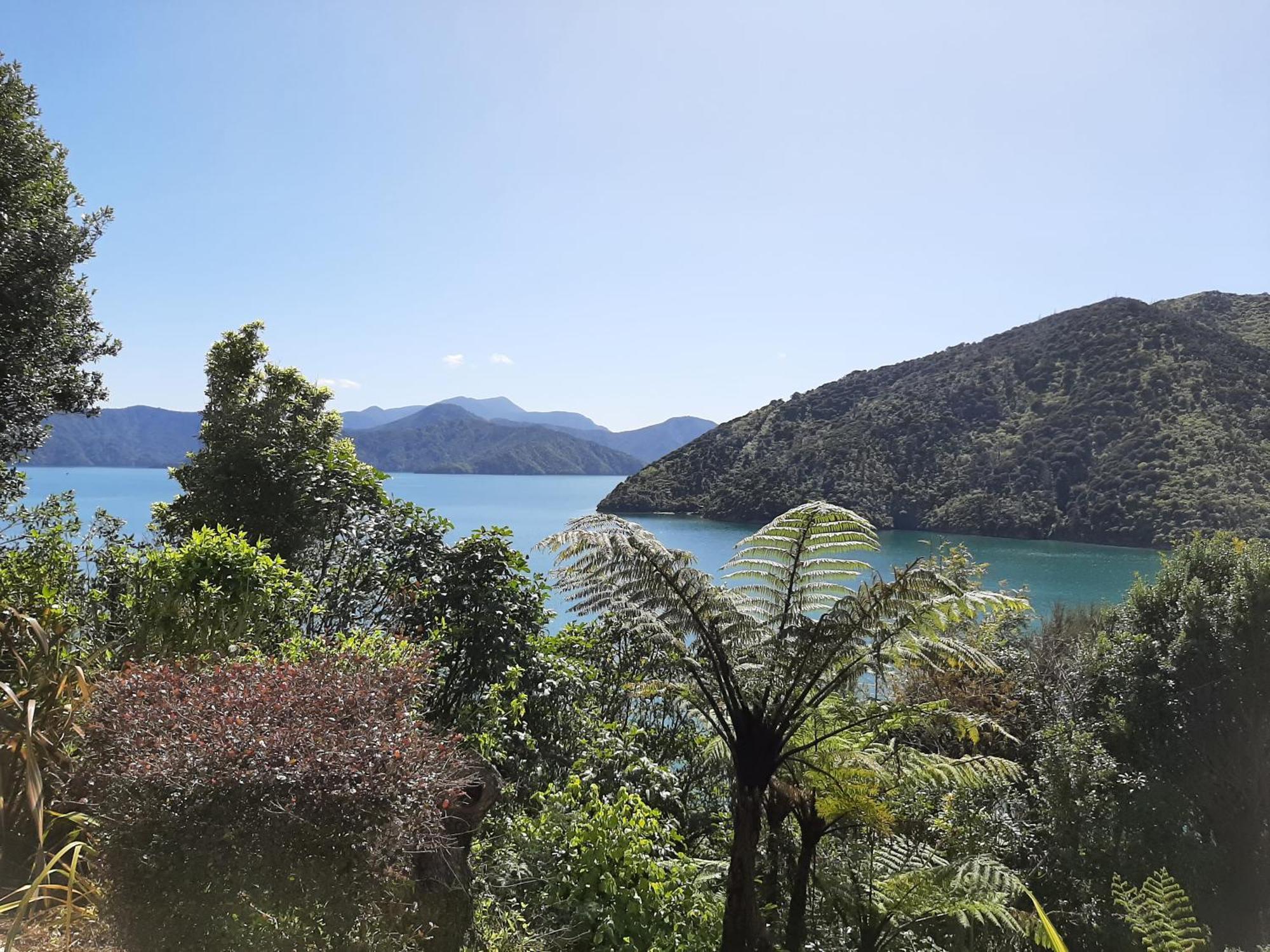 A Sea View B&B Picton Exterior photo