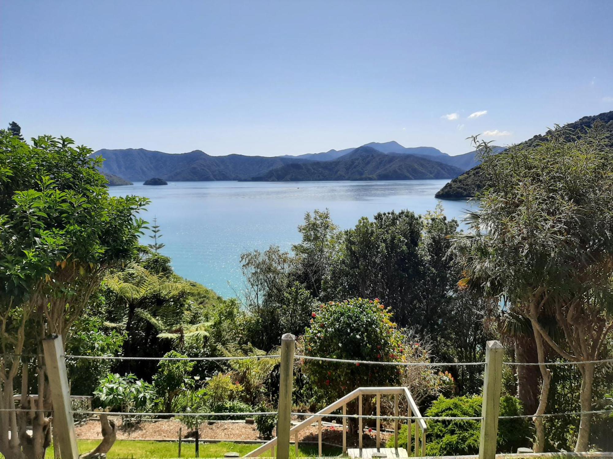 A Sea View B&B Picton Exterior photo
